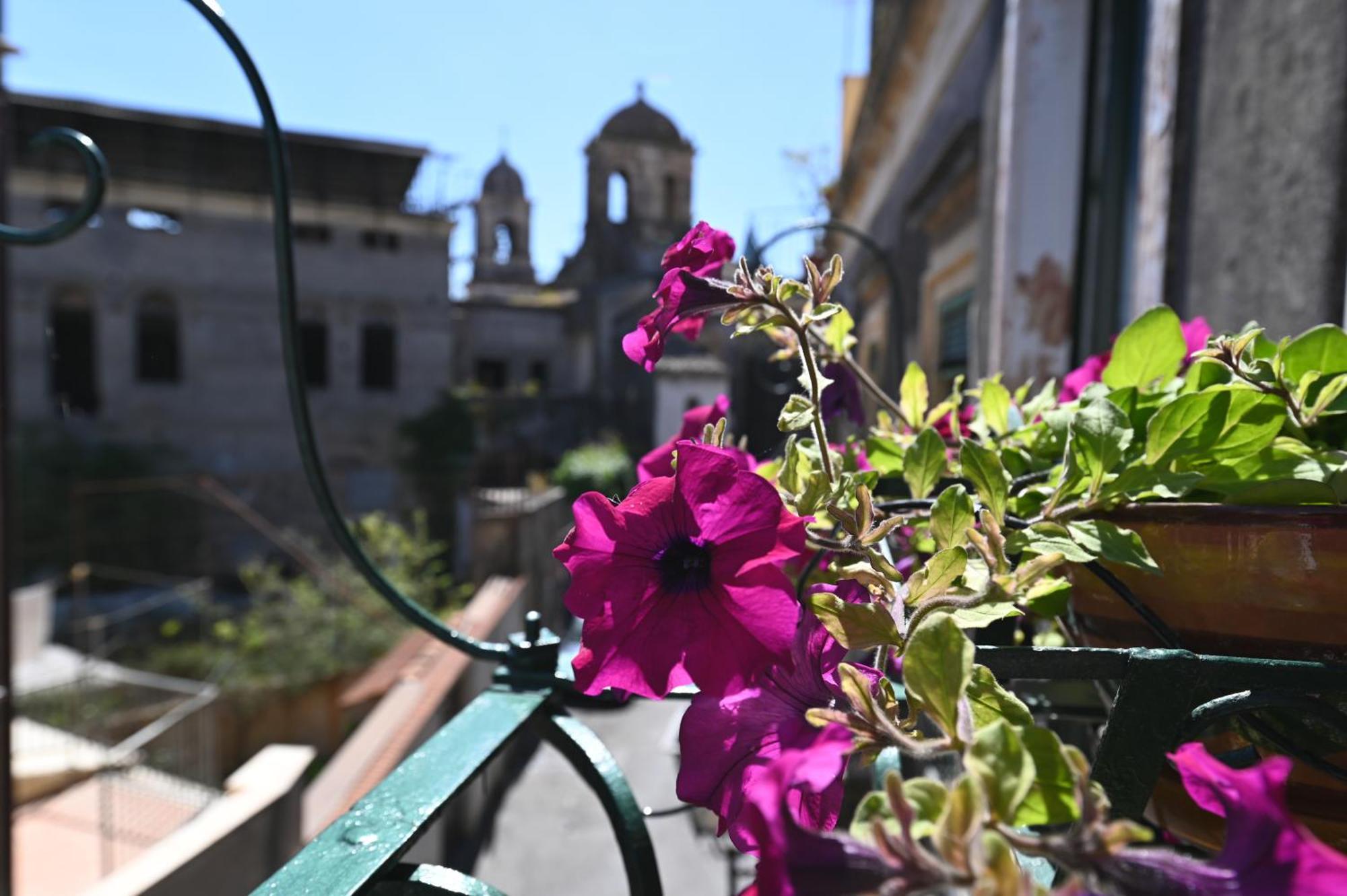 Сasa de vacaciones La Ciriciccia Acireale